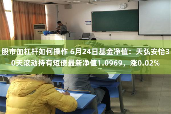 股市加杠杆如何操作 6月24日基金净值：天弘安怡30天滚动持有短债最新净值1.0969，涨0.02%