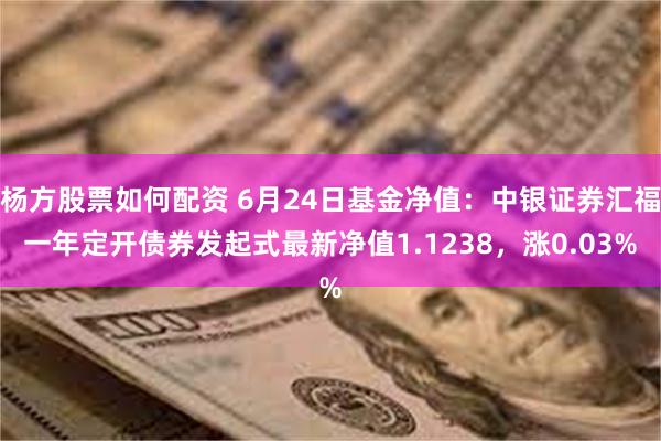 杨方股票如何配资 6月24日基金净值：中银证券汇福一年定开债券发起式最新净值1.1238，涨0.03%