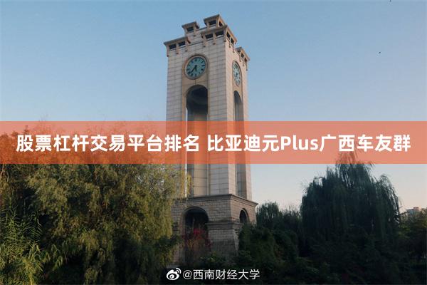 股票杠杆交易平台排名 比亚迪元Plus广西车友群