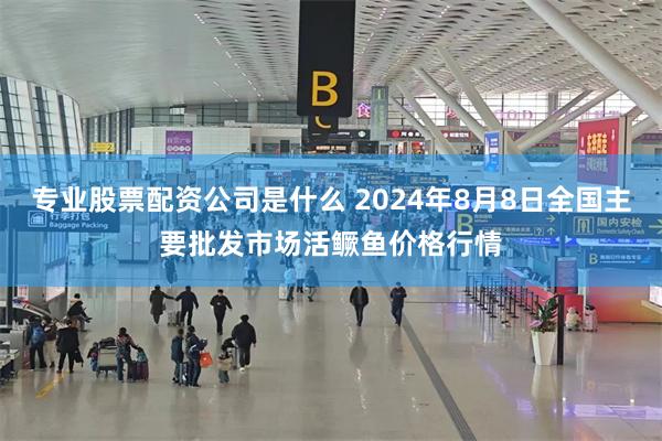 专业股票配资公司是什么 2024年8月8日全国主要批发市场活鳜鱼价格行情