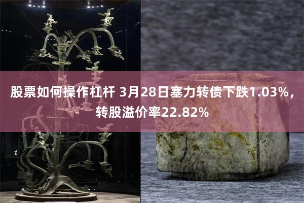 股票如何操作杠杆 3月28日塞力转债下跌1.03%，转股溢价率22.82%