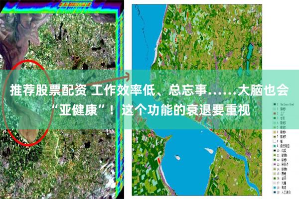 推荐股票配资 工作效率低、总忘事……大脑也会“亚健康”！这个功能的衰退要重视