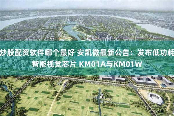 炒股配资软件哪个最好 安凯微最新公告：发布低功耗智能视觉芯片 KM01A与KM01W