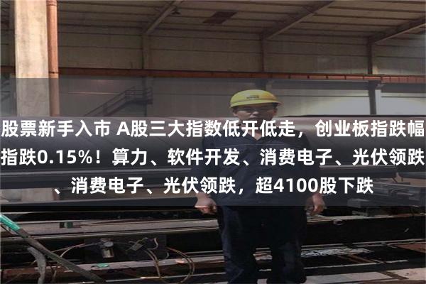 股票新手入市 A股三大指数低开低走，创业板指跌幅扩大至1.1%，沪指跌0.15%！算力、软件开发、消费电子、光伏领跌，超4100股下跌