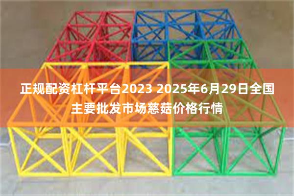 正规配资杠杆平台2023 2025年6月29日全国主要批发市场慈菇价格行情