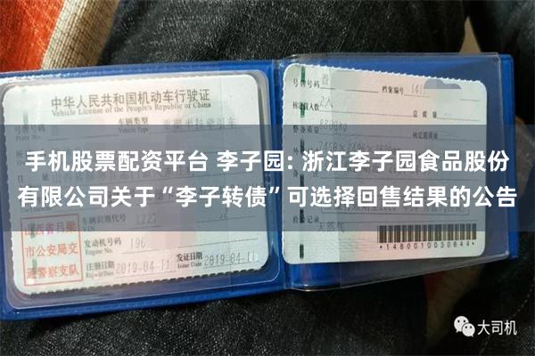手机股票配资平台 李子园: 浙江李子园食品股份有限公司关于“李子转债”可选择回售结果的公告