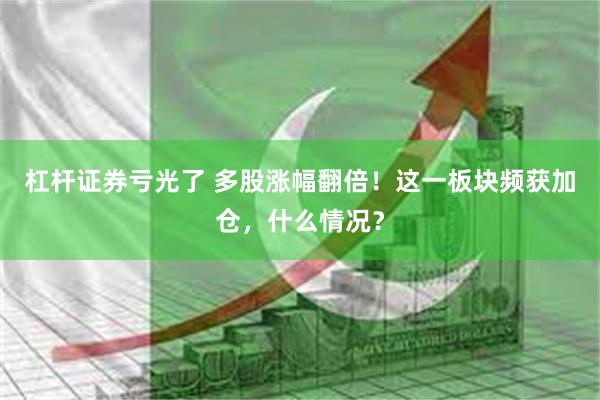 杠杆证券亏光了 多股涨幅翻倍！这一板块频获加仓，什么情况？