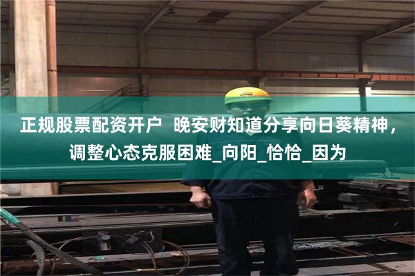 正规股票配资开户  晚安财知道分享向日葵精神，调整心态克服困难_向阳_恰恰_因为