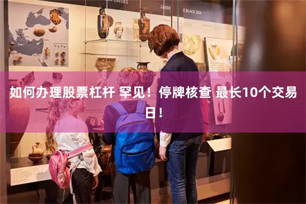 如何办理股票杠杆 罕见！停牌核查 最长10个交易日！
