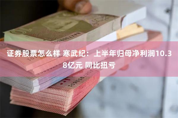 证券股票怎么样 寒武纪:上半年归母净利润10.38亿元 同比扭亏