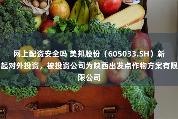 网上配资安全吗 美邦股份(605033.SH)新增一起对外投资,被投资公司为陕西出发点作物方案有限公司