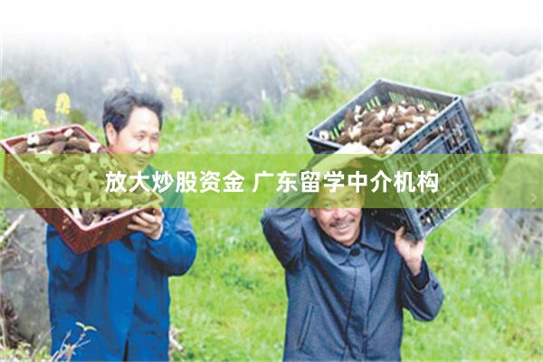 放大炒股资金 广东留学中介机构