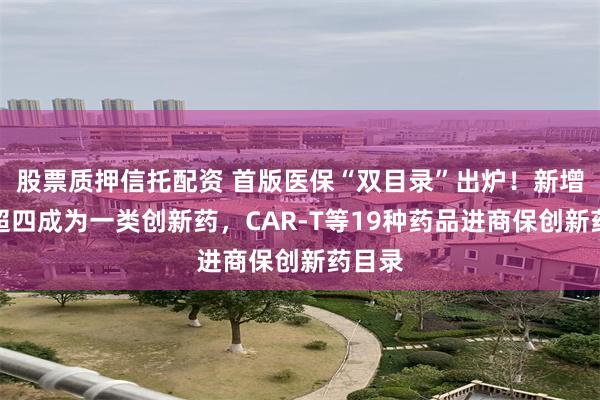 股票质押信托配资 首版医保“双目录”出炉!新增药品超四成为一类创新药,CAR-T等19种药品进商保创新药目录